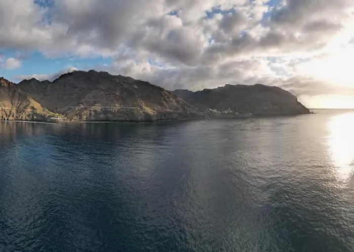 En Playa Chica, Gaviotas