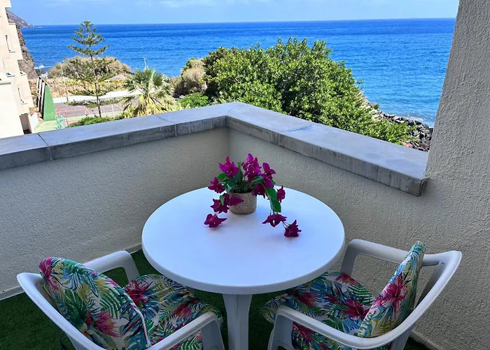 En Playa Chica, Gaviotas سانتا كروز دي تينيريف