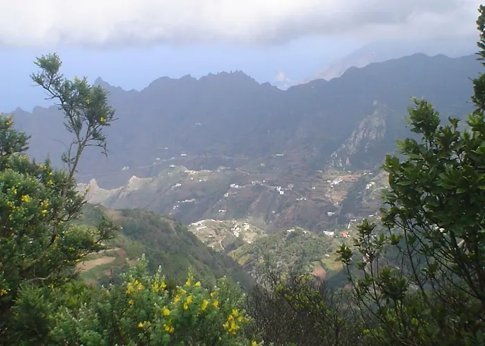 En Playa Chica, Gaviotas *