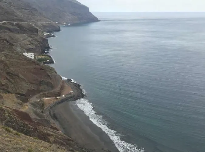 En Playa Chica, Gaviotas