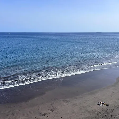 En Playa Chica, Gaviotas *