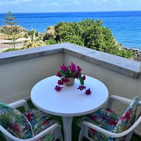 En Playa Chica, Gaviotas Santa Cruz de Tenerife