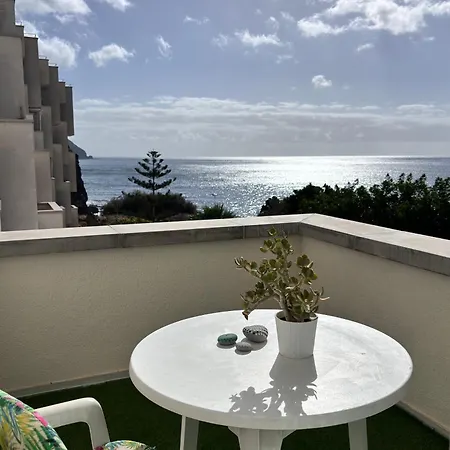 En Playa Chica, Gaviotas