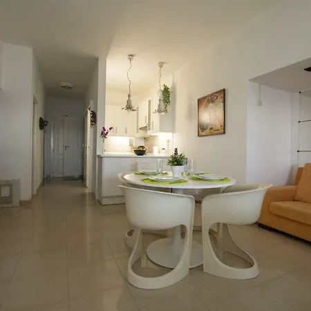 En Playa Chica, Gaviotas * Santa Cruz de Tenerife