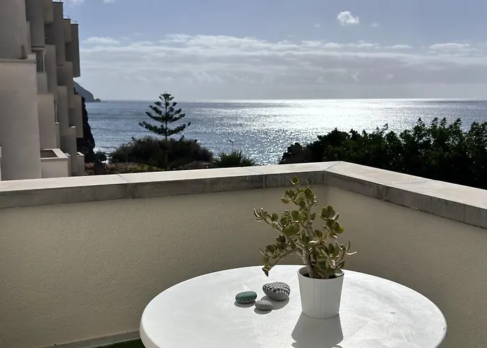 En Playa Chica, Gaviotas