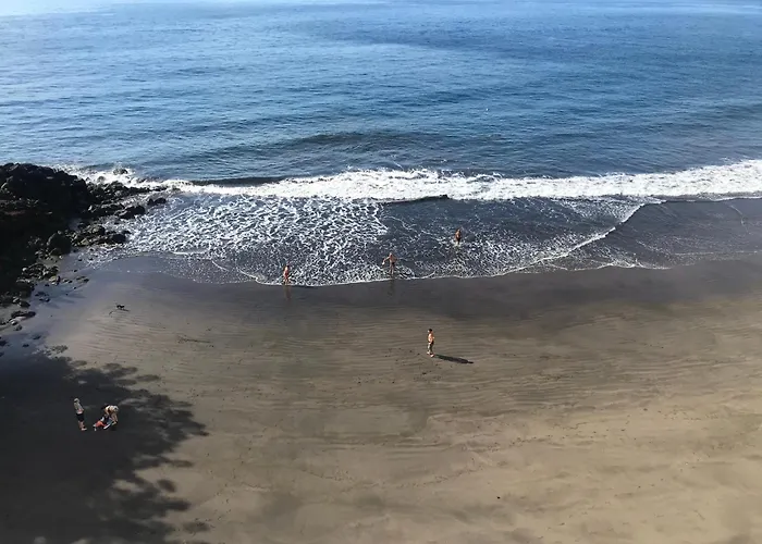 En Playa Chica, Gaviotas *